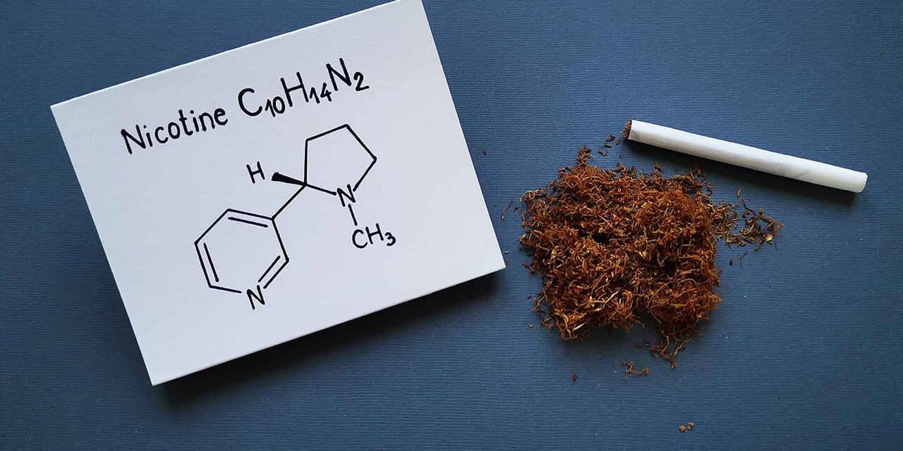 Understanding Nicotine- Clarifying Myths and Facts